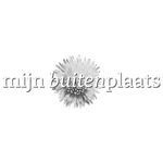 logo buitenplaats makelaar